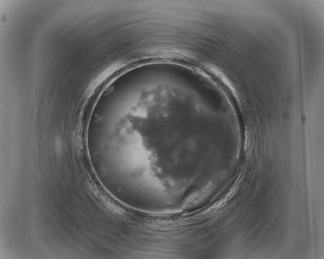 X0000087411071200704201355