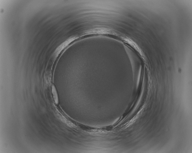 X0000087411081200704201355