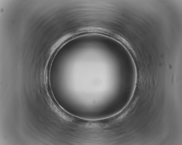 X0000087411082200704201355
