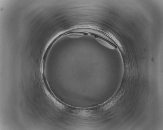 X0000087411084200704201355