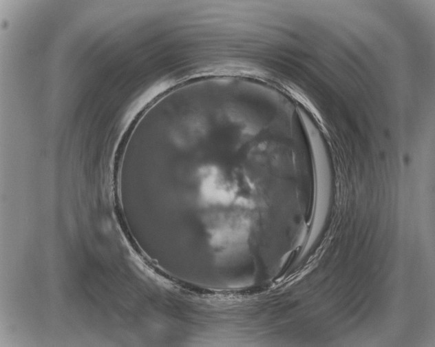 X0000087411087200704201355