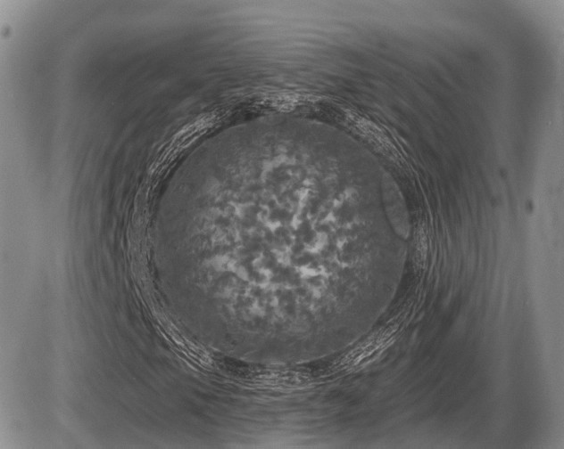 X0000087411105200704201354