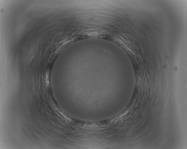 X0000087411106200704201354