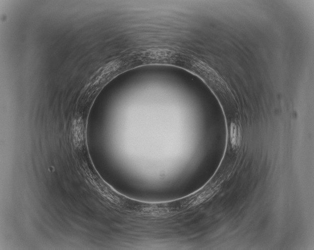 X0000087411107200704201354