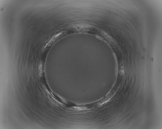 X0000087411108200704201354
