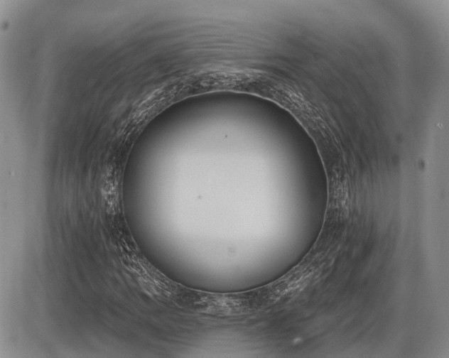 X0000087411109200704201354