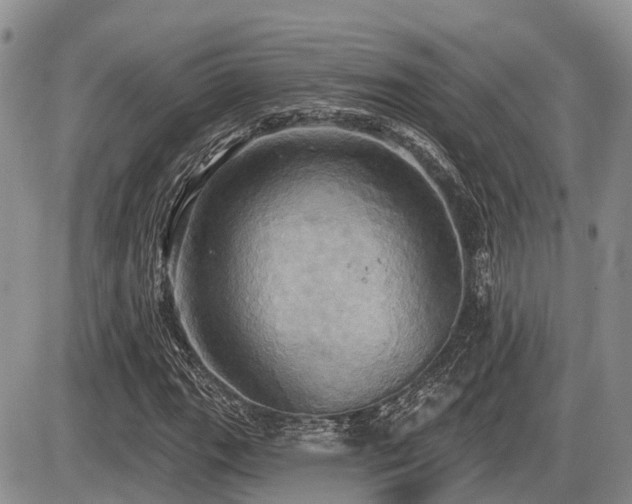 X0000087411111200704201354