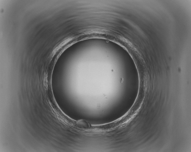 X0000087411113200704201354