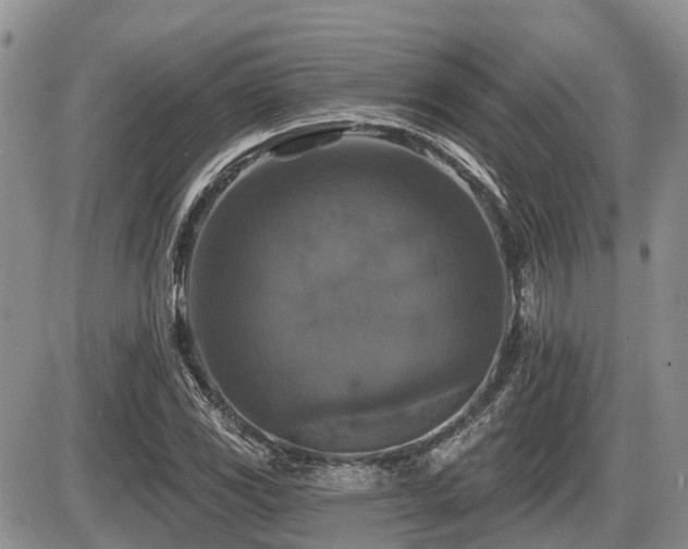 X0000087411117200704201354