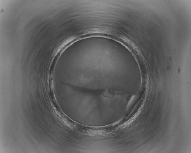 X0000087411121200704201354
