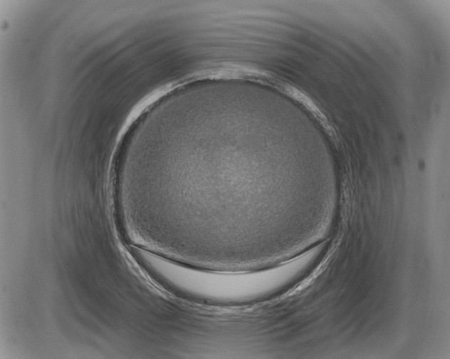 X0000087411122200704201354