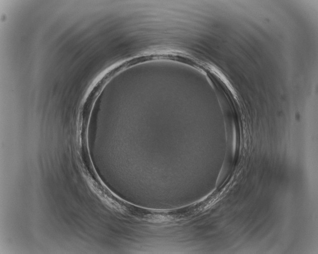 X0000087411124200704201354