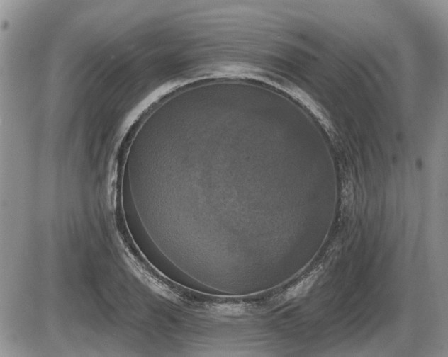 X0000087411126200704201354