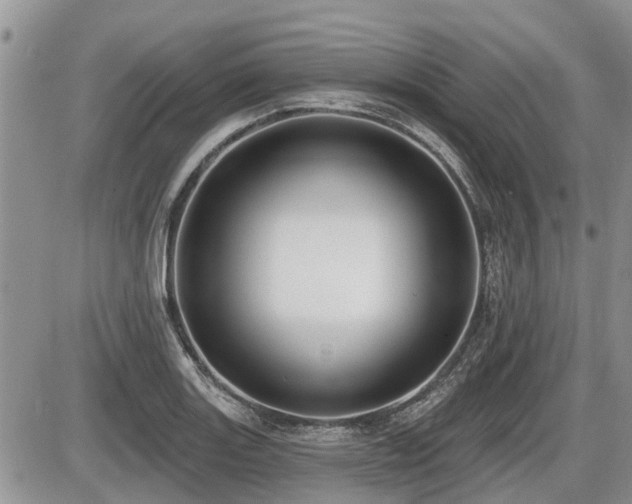 X0000087411131200704201354
