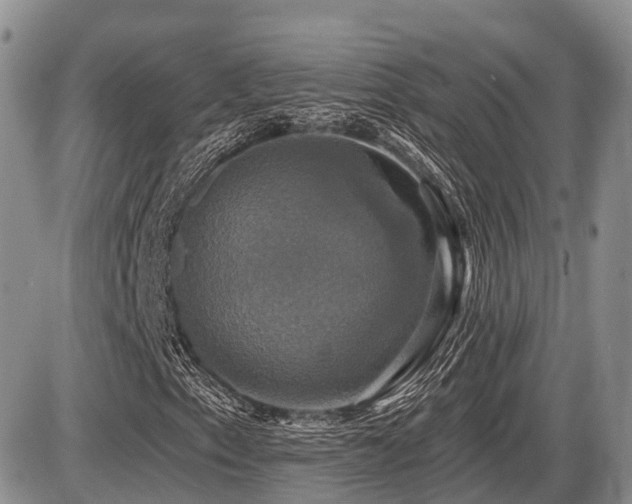 X0000087411153200704201354