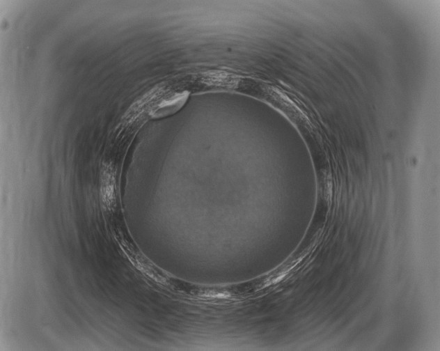 X0000087411154200704201354
