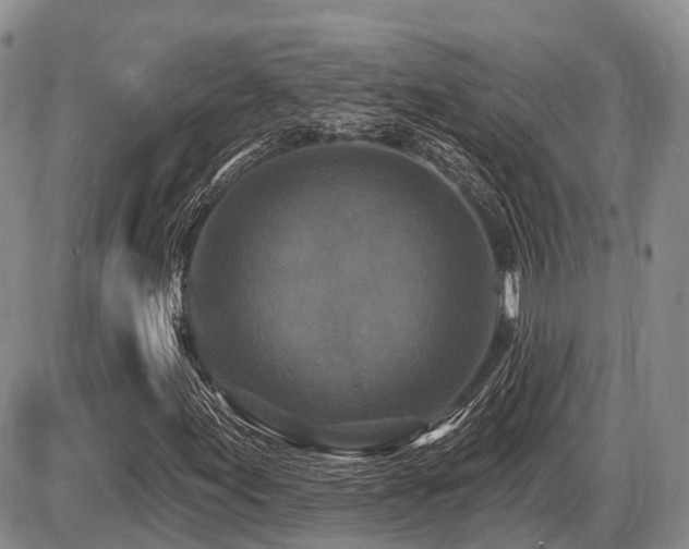 X0000087411155200704201354