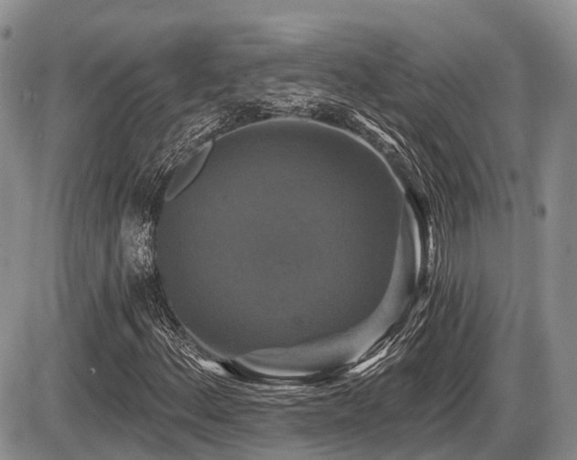 X0000087411156200704201354