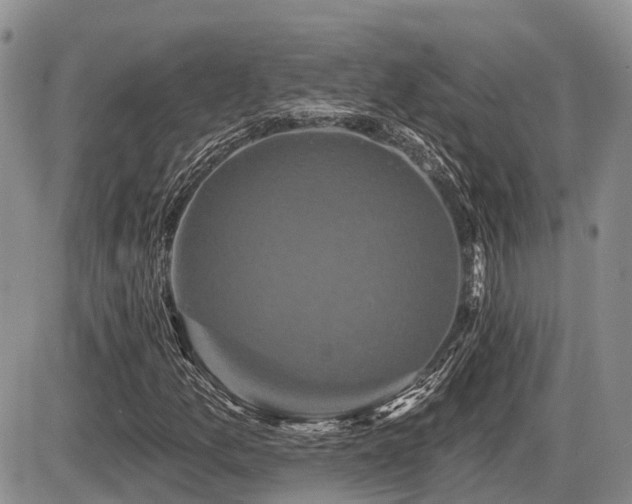 X0000087411157200704201354