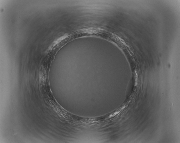 X0000087411158200704201354