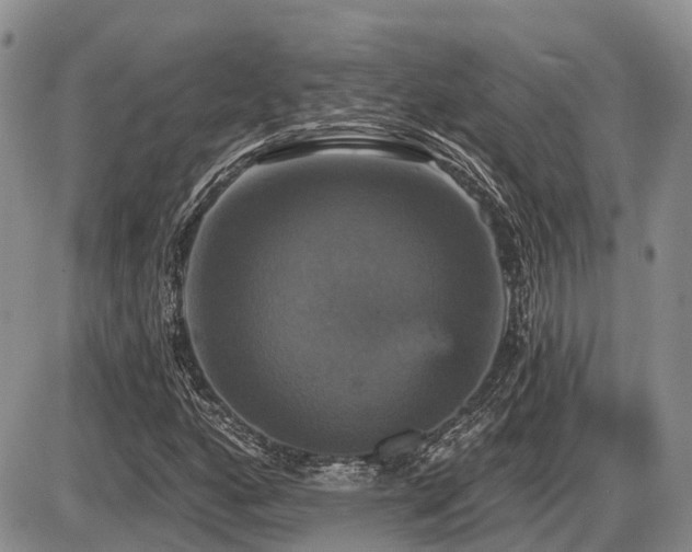 X0000087411160200704201354