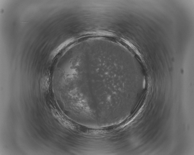 X0000087411163200704201353