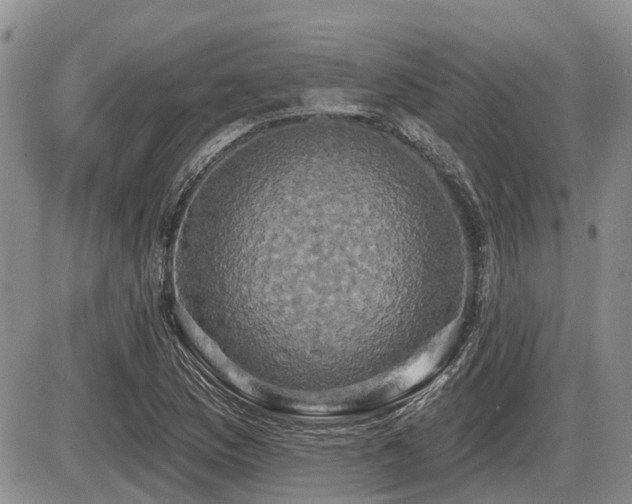 X0000087411169200704201353