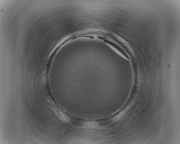 X0000087411170200704201353