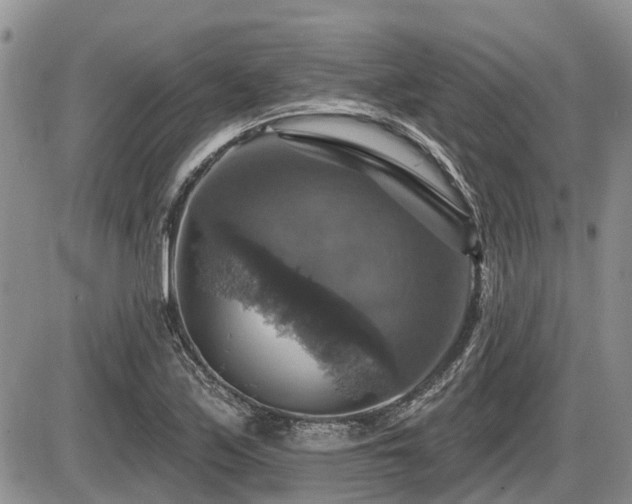 X0000087411171200704201353