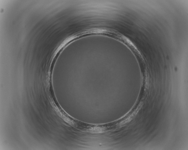 X0000087411178200704201353