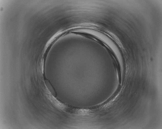 X0000087411180200704201353