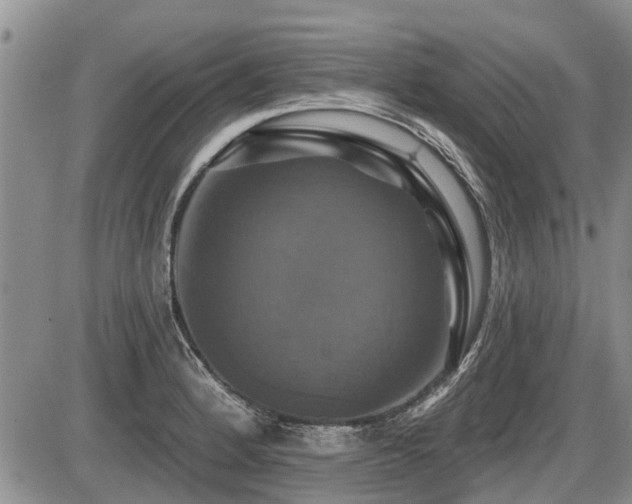 X0000087411184200704201353