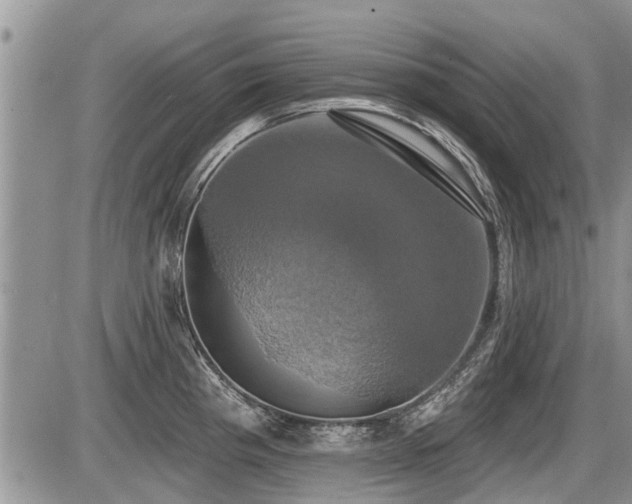 X0000087411193200704201353