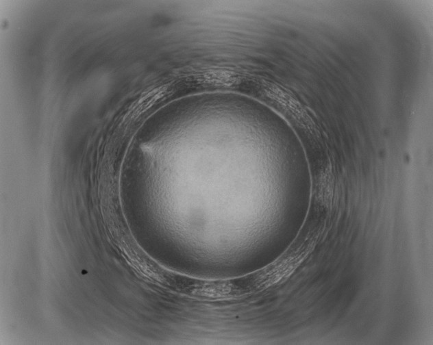 X0000087411201200704201352