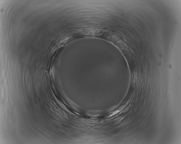 X0000087411202200704201352