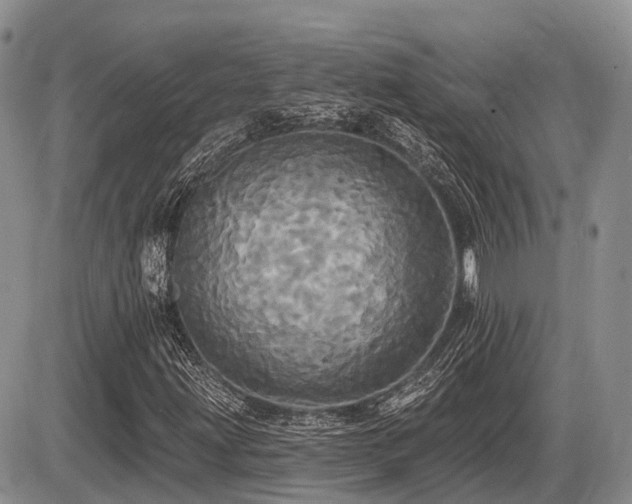 X0000087411203200704201352