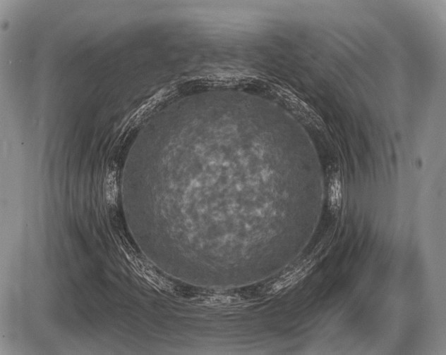 X0000087411204200704201352