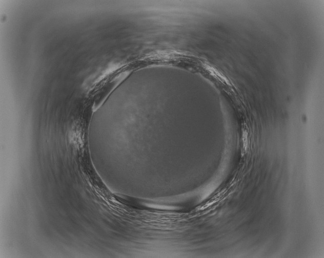 X0000087411206200704201352