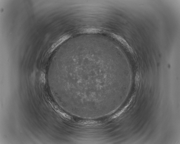 X0000087411209200704201352
