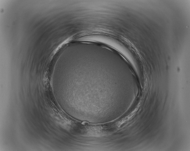 X0000087411210200704201352