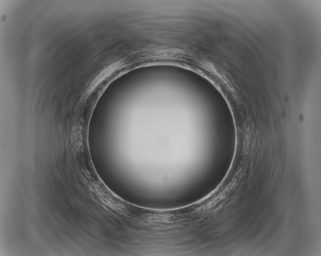 X0000087411211200704201352