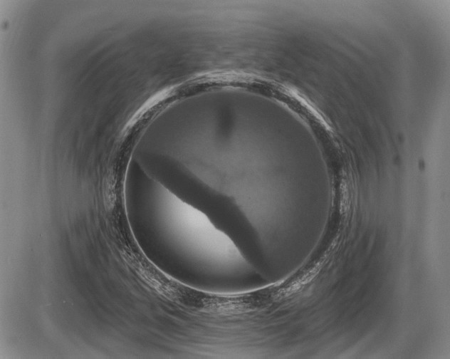 X0000087411213200704201352