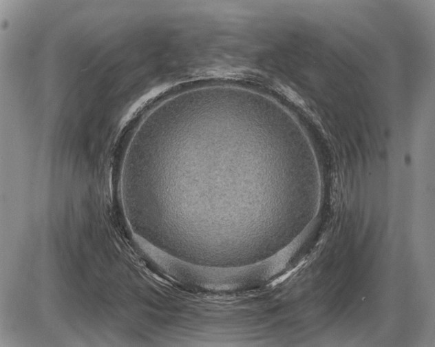 X0000087411214200704201352