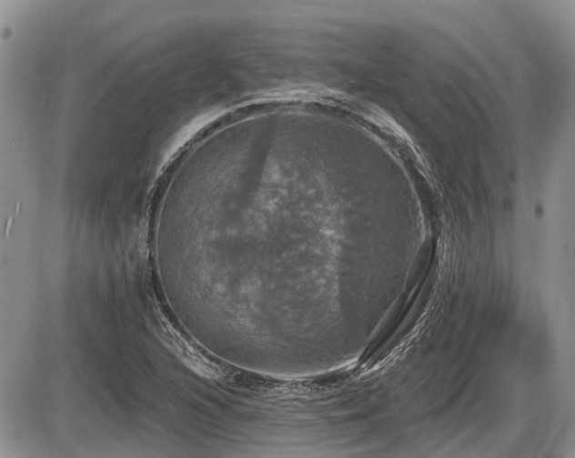 X0000087411216200704201352
