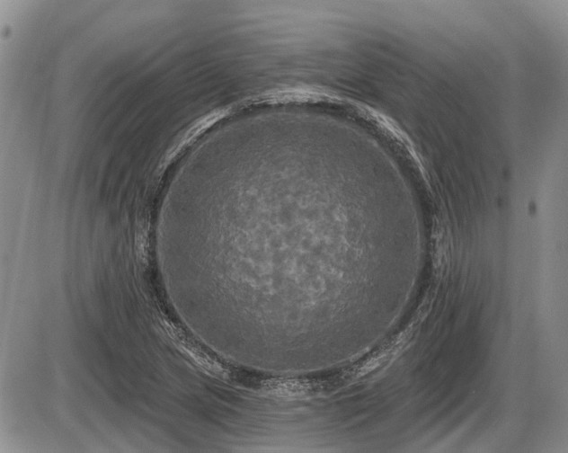 X0000087411217200704201352