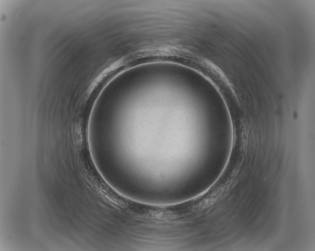 X0000087411218200704201352