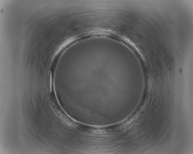 X0000087411219200704201352