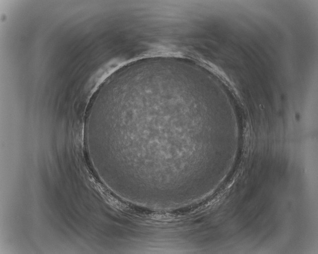 X0000087411220200704201352