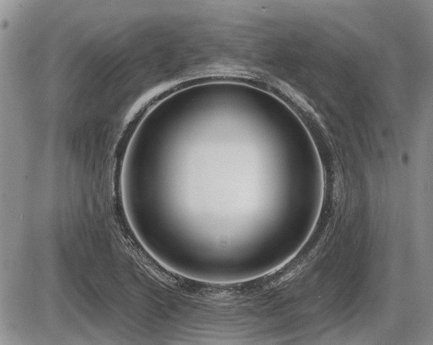 X0000087411222200704201352