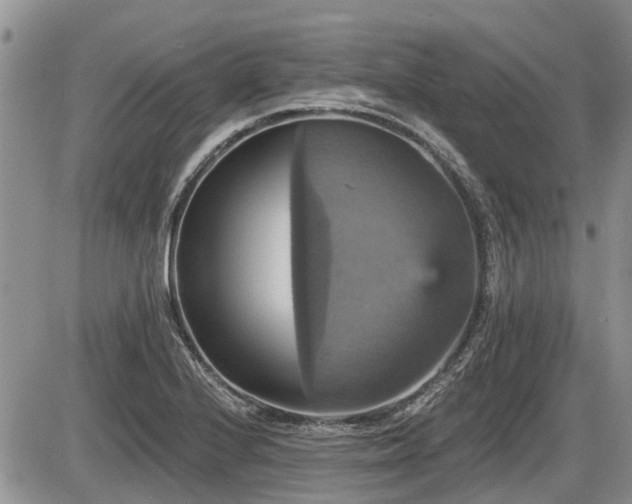 X0000087411224200704201352